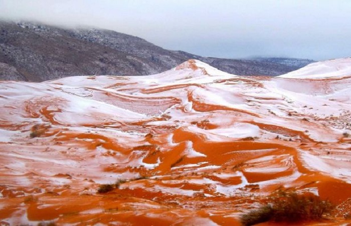 37 ildən sonra ilk - Sahara səhrasına qar yağdı