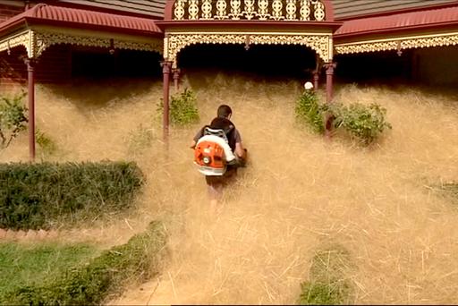 Australie: une ville envahie par la paille !