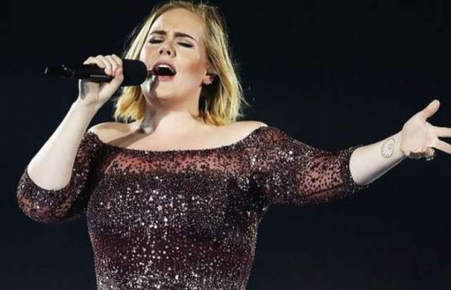 Adele stops Sydney gig because of fan's cardiac arrest