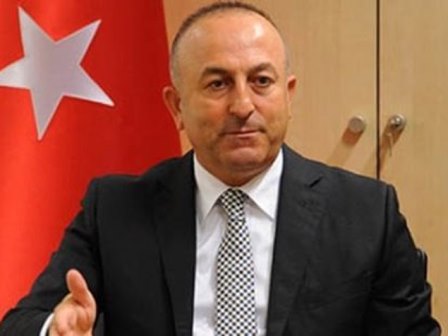  “Türkiyənin enerji məsələsində prioriteti TANAP-dır”