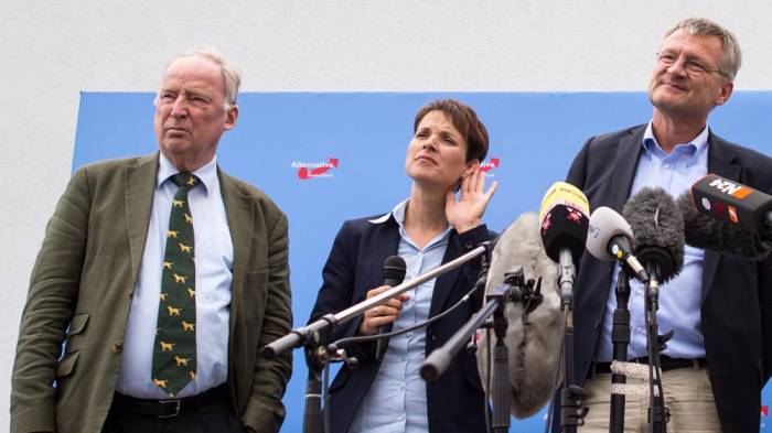 AfD-Chef Meuthen gegen Gauland und Weidel in Parteispitze