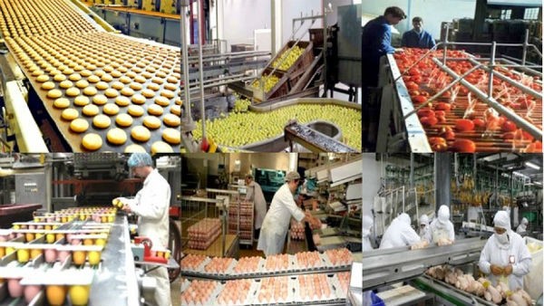Comprendre le ralentissement de la productivité en France - FLASH