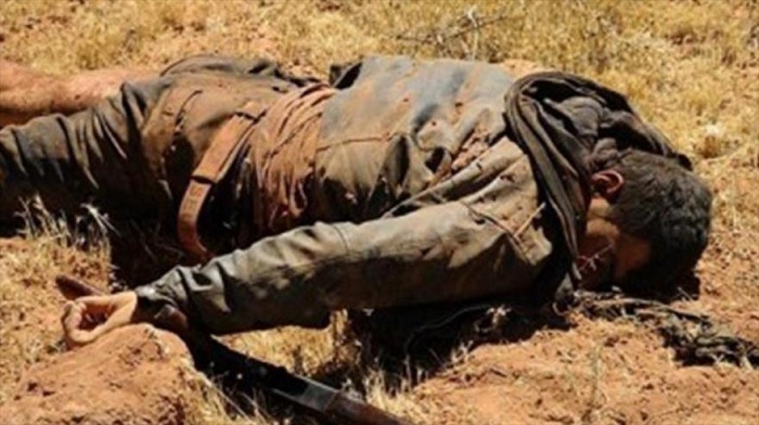 Ejército sirio mata a un cabecilla de Ahrar al-Sham en Quneitra