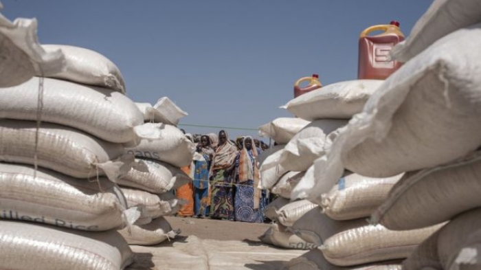 'Half' Nigeria food aid for Boko Haram victims not delivered