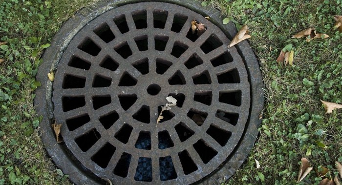 Descubren un método para limpiar alcantarillado con... bacterias hambrientas 