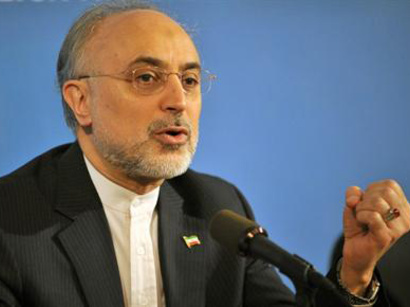 Salehi, Brahimi urge political solution to Syria crisis