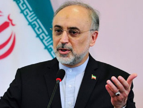 Iran atomic energy head to join Geneva nuclear talks