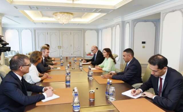 First VP Mehriban Aliyeva meets French minister of state
