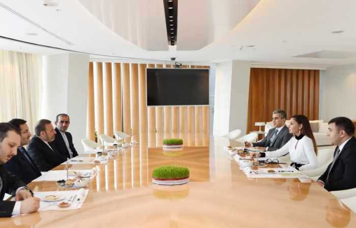 Azerbaijan’s First VP Mehriban Aliyeva meets Iran’s ICT minister
