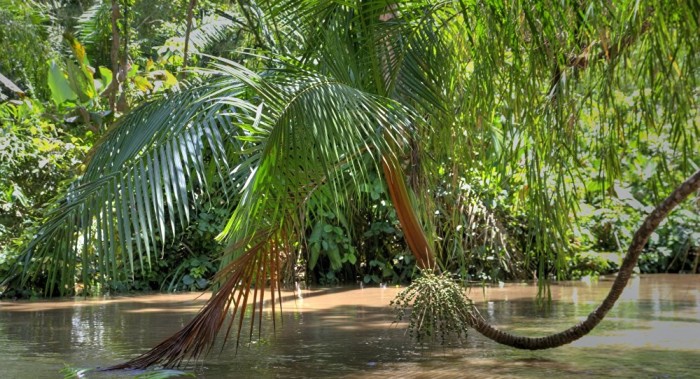 Encuentran en el Amazonas a un canadiense dado por muerto durante cinco años 
