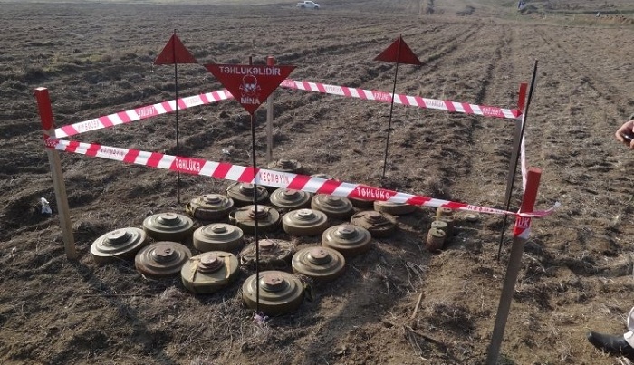 ANAMA disarmed 80 UXOs and one antitank mine last month