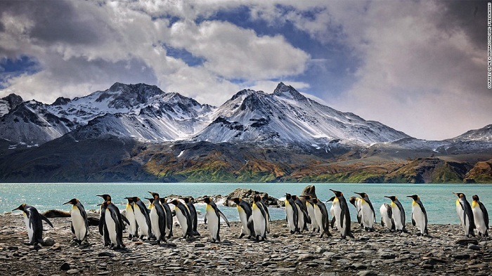 Antarctica: Photos from the end of the Earth - PHOTOS