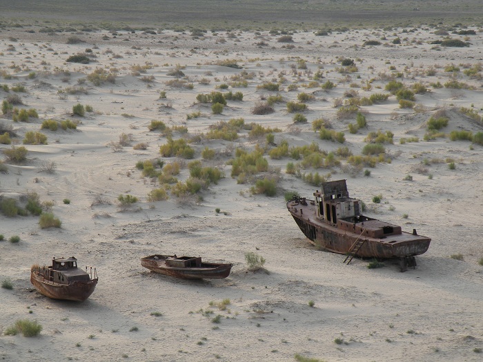 Uzbekistan adopts program to mitigate consequences of Aral Sea disaster