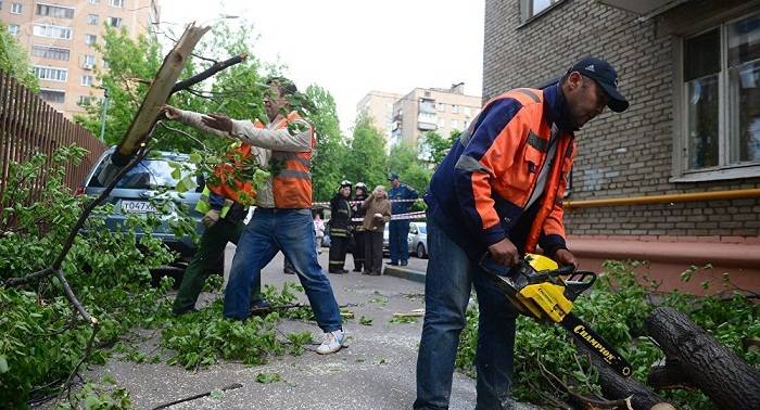Moscú contabiliza en 17.000 los arboles caídos por la tormenta