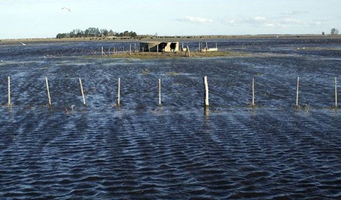 Inundaciones afectan ocho millones de hectáreas en cuatro provincias argentinas