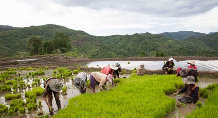 El `milagro` de Samsung en Vietnam: un granjero ahora gana más que un banquero