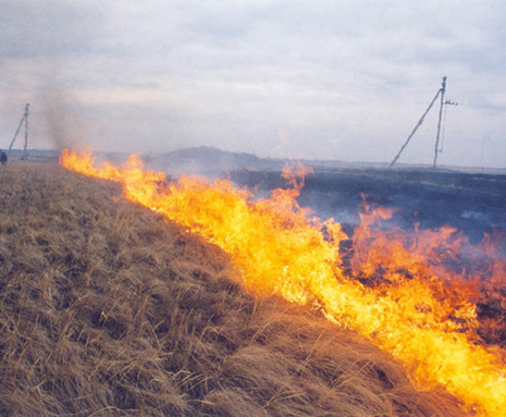 Armenians continue provocations with arsons on frontline