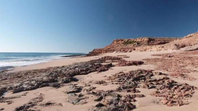Ancient aboriginal Australians left behind artifacts from 51,000 years ago