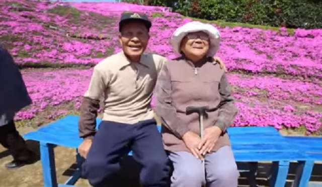 Un Japonais transforme sa ferme en jardin public pour sa femme devenue aveugle - VIDEO