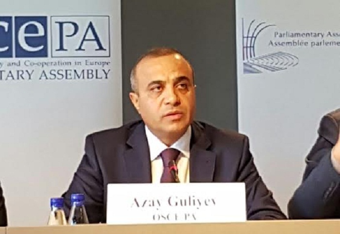 Azay Quliyev seçkilərlə bağlı ATƏT PA-nın rəyini açıqladı