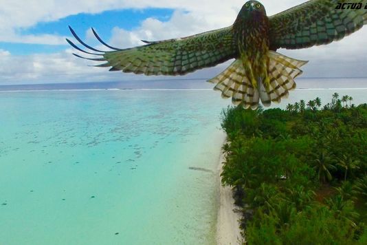 Les 10 plus belles photos de drones 2016