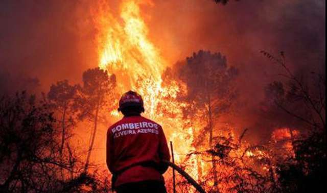Etats-Unis: Des feux de forêts font trois morts
