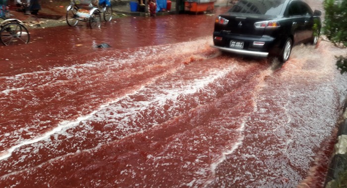 Ríos de sangre inundan las calles de Bangladés 