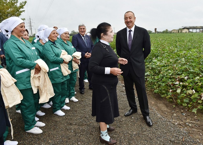 Ilham Aliyev besucht Baumwollfeld in Sabirabad