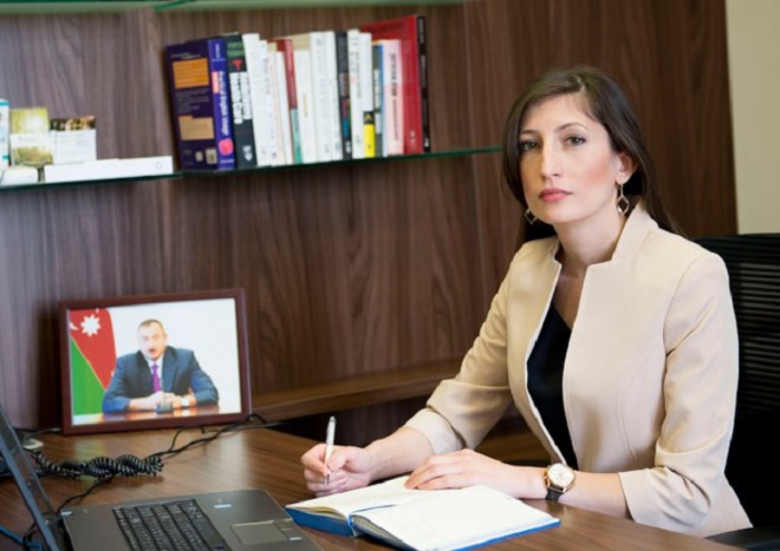 Dövlət Agentliyinə sədr müavini təyin olundu