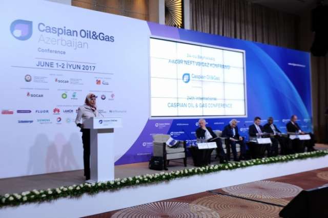 ‘Azerbaijan is becoming one of the participants of global natural gas market’