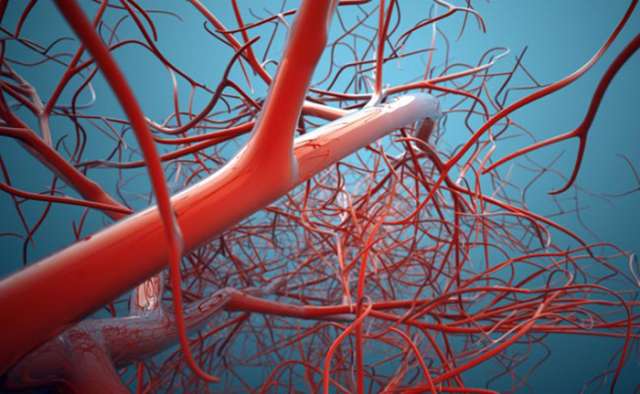 World`s first 3D blood vessel bio-printer developed