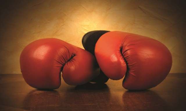 Azerbaijani national boxing team will visit Italy