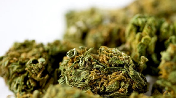 Türkei und Bolivien beschlagnahmen Tonnen von Marihuana