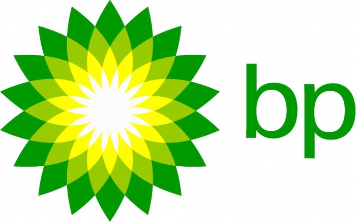 Oil, gas to remain important for decades to come – BP