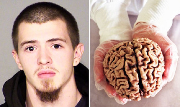Thief stole HUMAN BRAINS from former insane asylum then sold them on Ebay