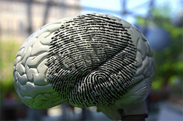 Scans show people have a brain `fingerprint,`  researchers say