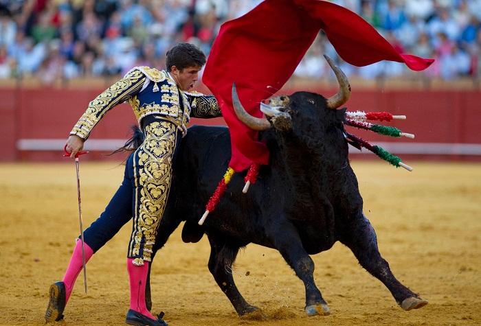Thousands protest bullfighting in Spain`s capital 