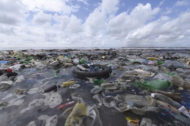 Plus de plastique que de poissons dans l’océan en 2050