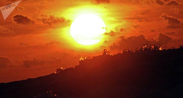 Más de 1.000 hospitalizados por calor en Japón en una semana