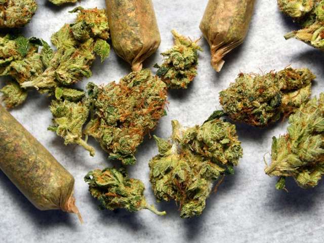 L’Australie va autoriser la culture de cannabis à usage médical