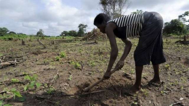 Africa`s farmers `need urgent climate-proof investment`