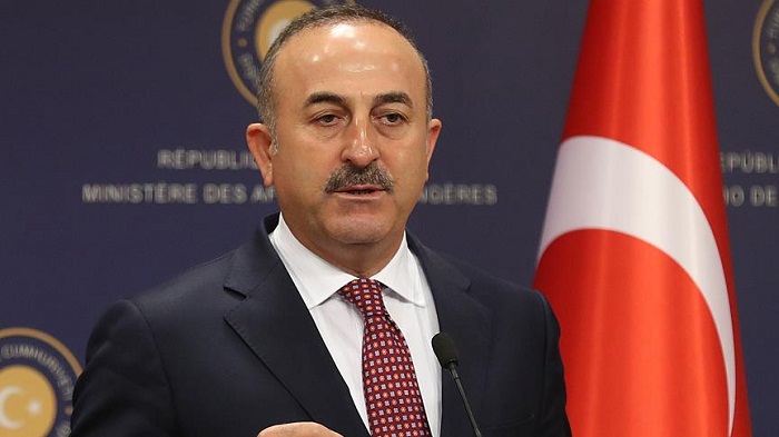 Operation Olive Branch to be completed by May, says Turkish FM