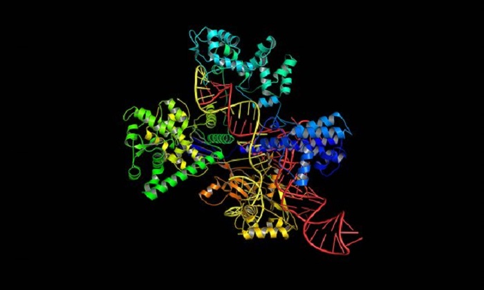 Crispr: Chinese scientists to pioneer gene-editing trial on humans 