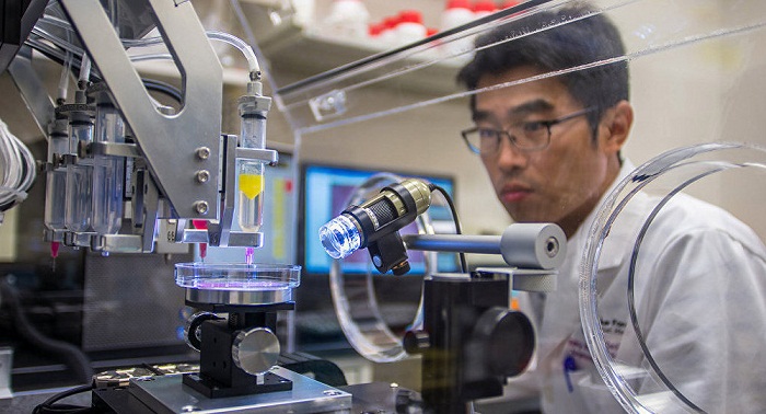 Les chercheurs créent une imprimante 3D pour imprimer des organes humains