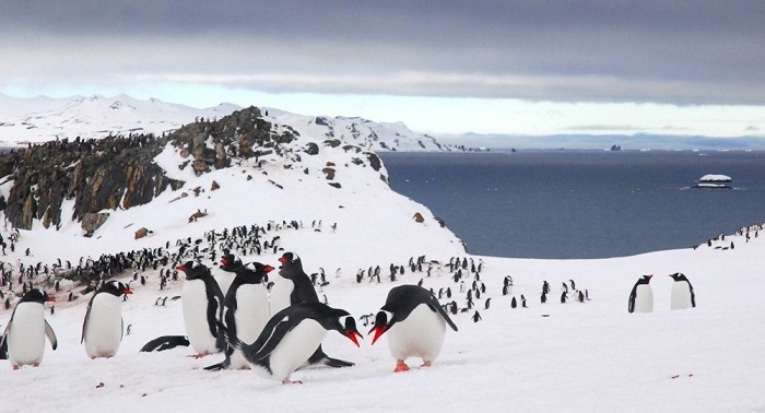 Le Chili surveillera la couche d`ozone en Antarctique