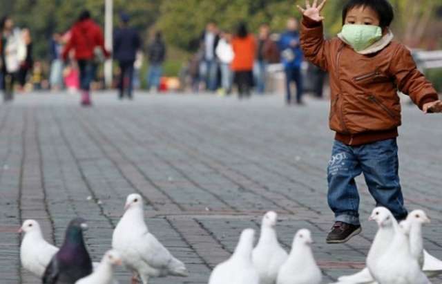 China egg producers brace for pain from bird flu crackdown