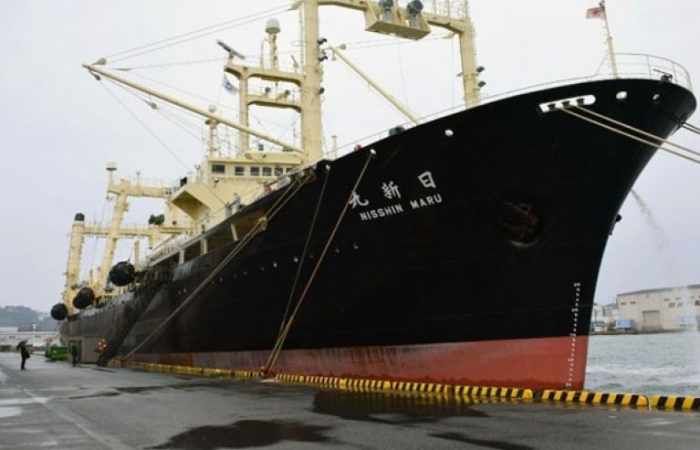 Japanese fleet returns from Antarctic hunt with 333 whales