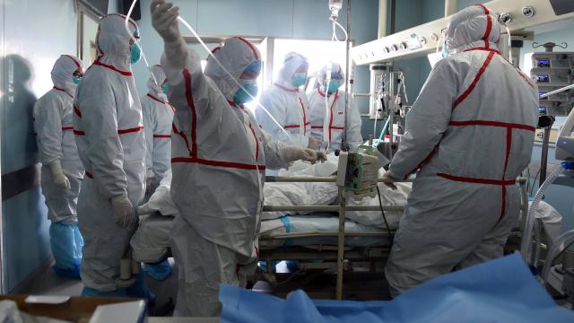 En Chine, le nombre de morts de la grippe aviaire explose