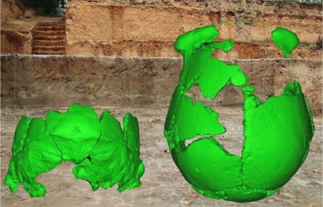 Ancient skulls give clues to China human history