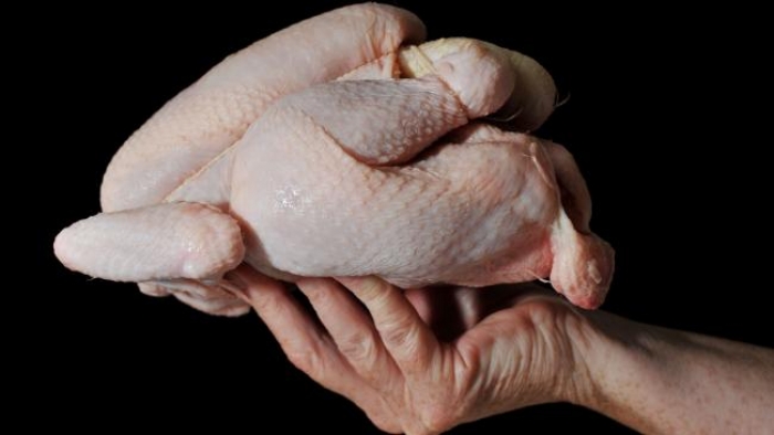 Is chlorinated chicken bad for our health and the environment?